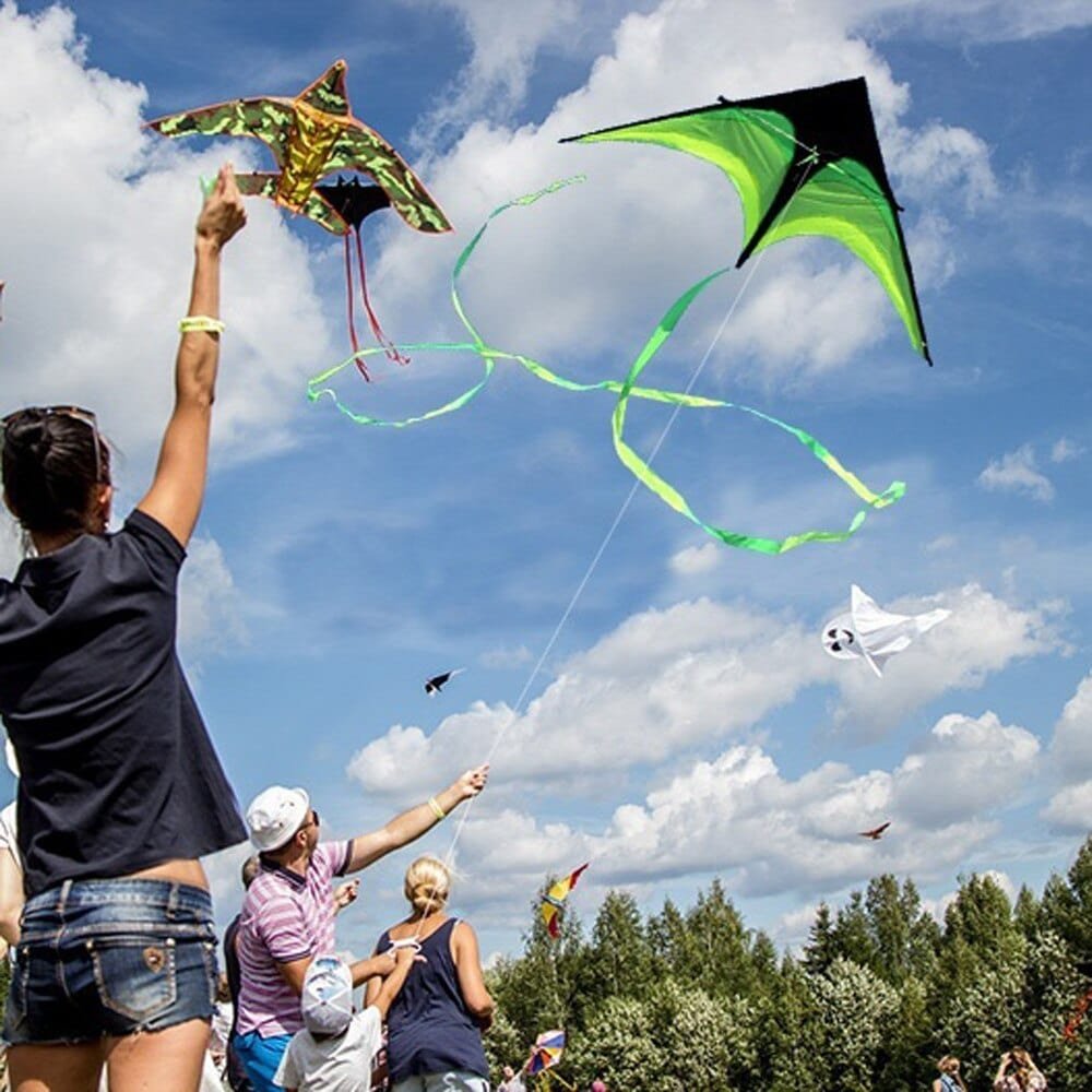 People flying kites in a park with a clear blue sky and trees in the background