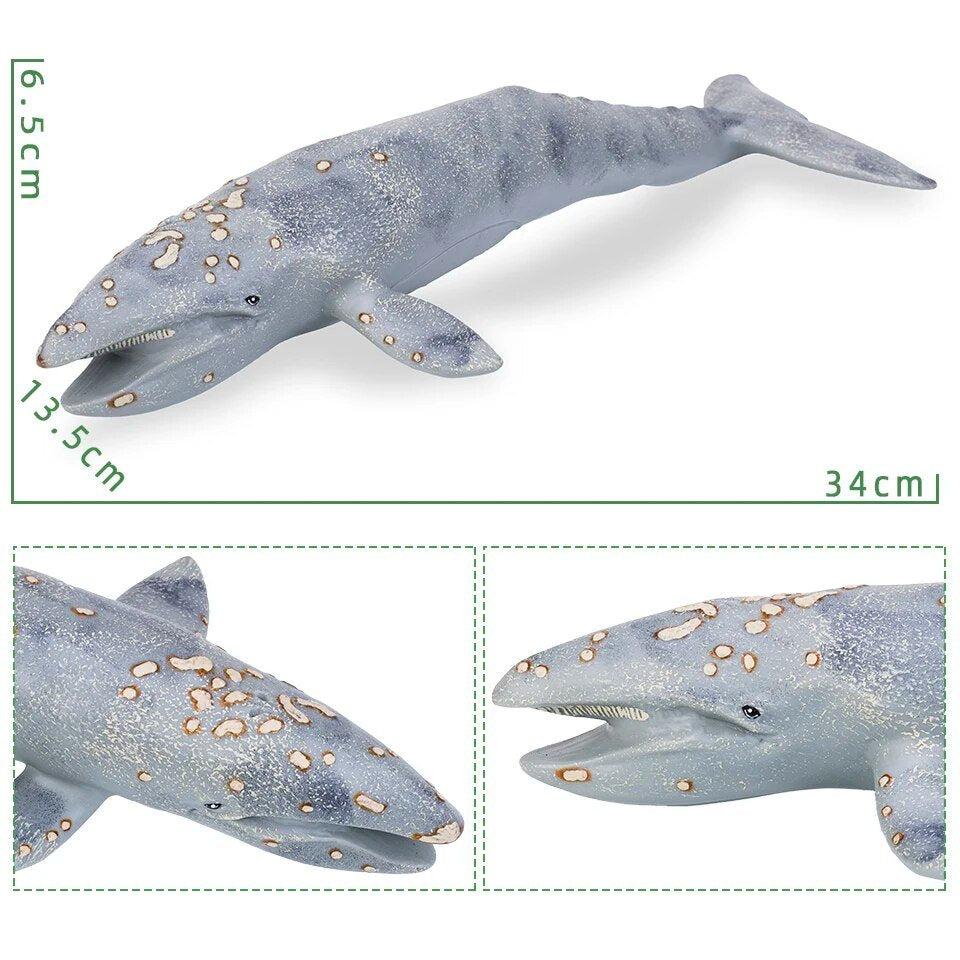 Gray shark toy with measurements on a white background