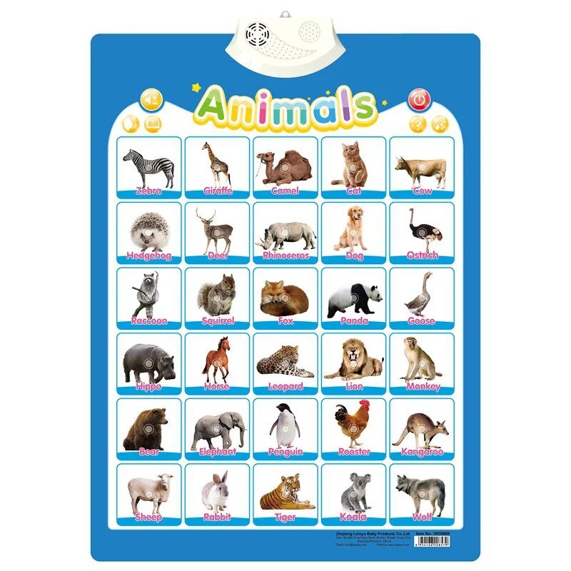 Educational chart with animal illustrations and names on a blue background