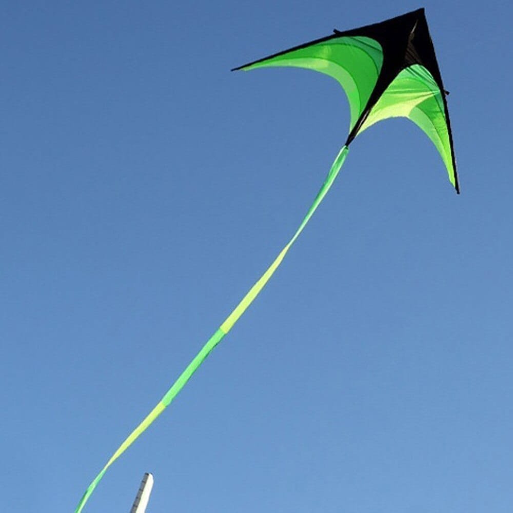 Green and black kite flying against a clear blue sky
