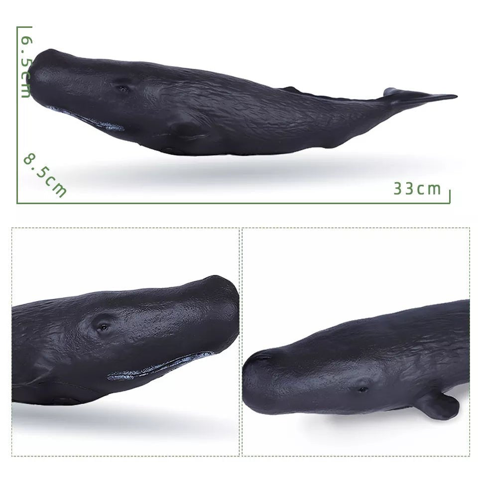 Black whale model with measurements.