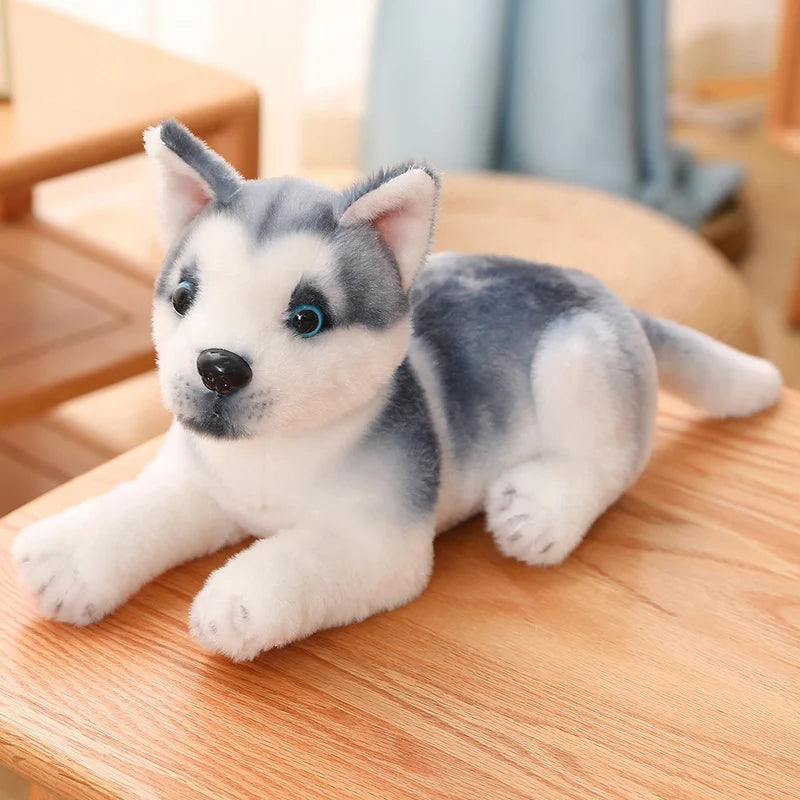 Plush toy husky dog on a wooden surface