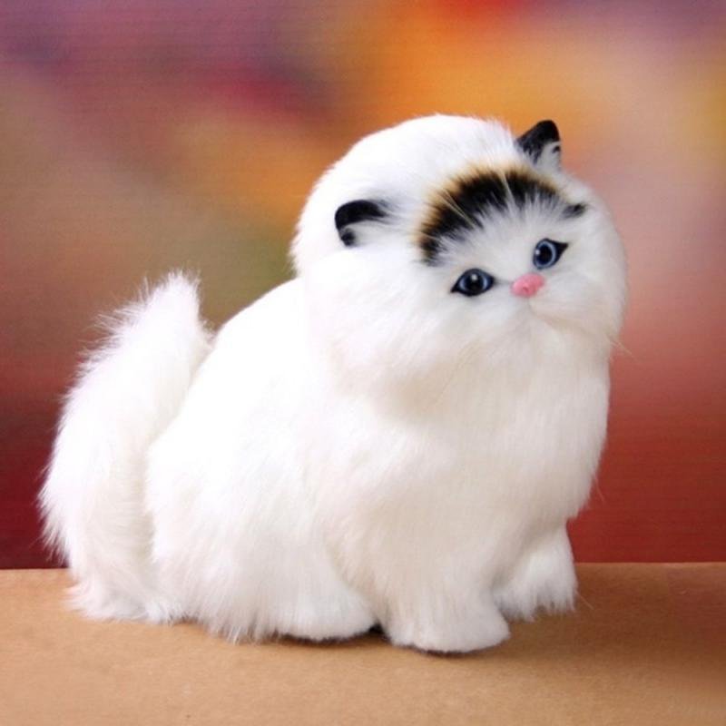 Fluffy white kitten with black and brown markings.