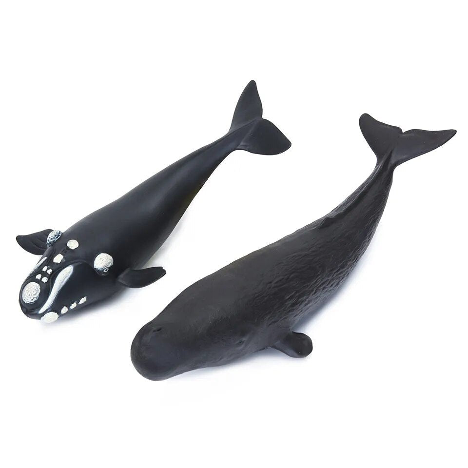 Two whale toys on a white background