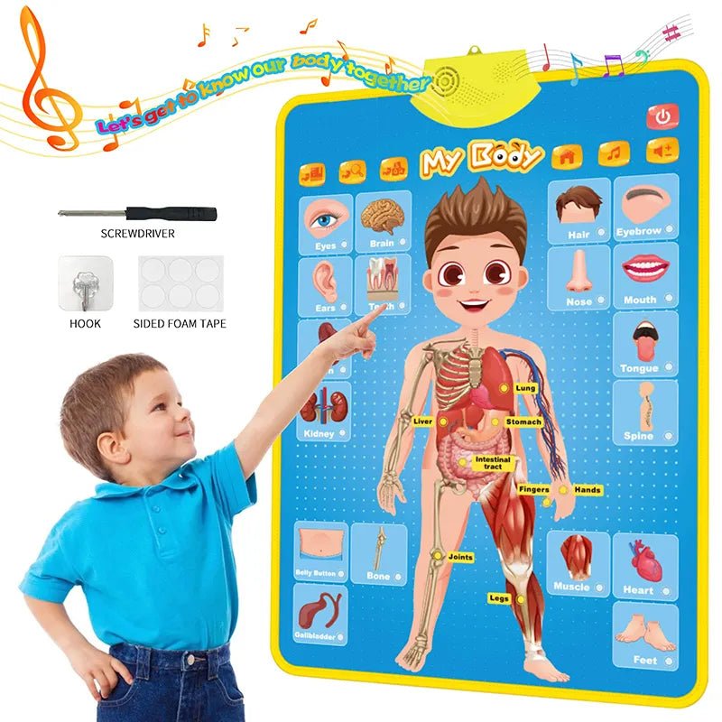Children's educational chart with a cartoon body diagram and labeled parts, used by a child to point at different body parts.