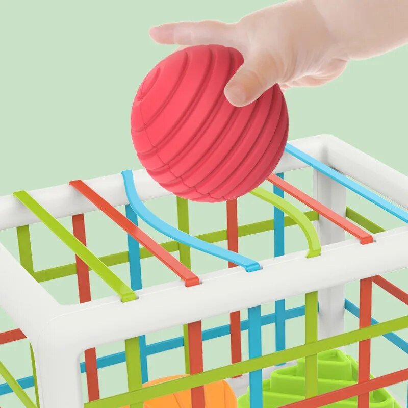Hand placing a red ball into a colorful maze structure.
