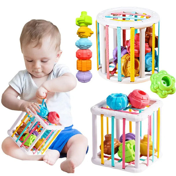 Toys for 12 Month Old