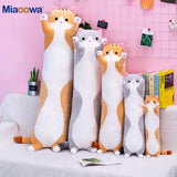 Set of cat-shaped plush toys on a pink background with 'Miaooowa' branding.