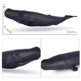 Black whale model with measurements on a white background