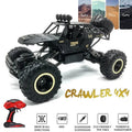 Black 1:12 4WD RC crawler truck with 2.4G remote, an off-road buggy toy for garden racing and rough terrain play.