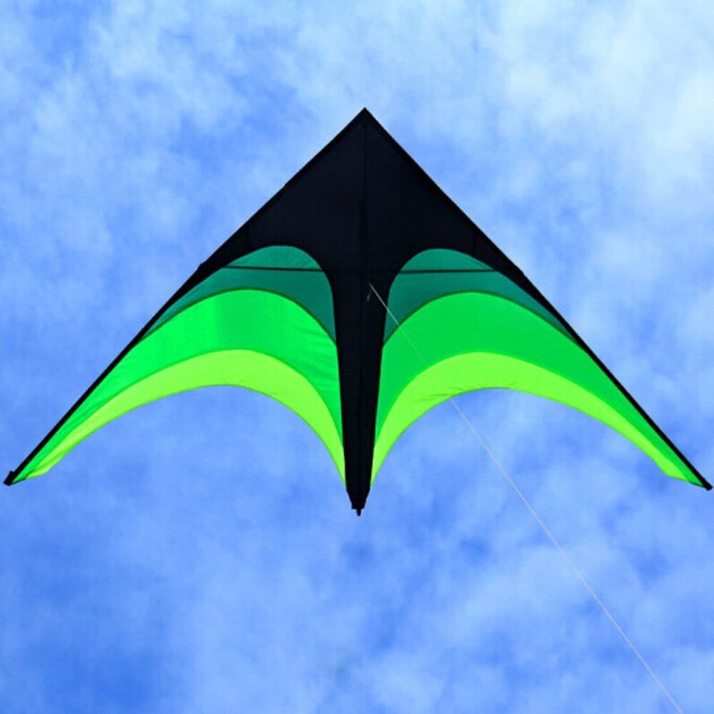 Green and black delta kite against a blue sky
