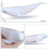 White whale toy with measurements and a hand holding it for scale.