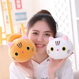 Person holding two cartoon-style cat plush toys, one orange and one white, in a casual setting.