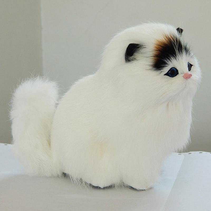 Fluffy white cat with black and orange markings on a light background
