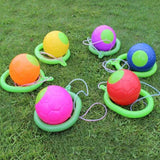 Colorful ring toss game with balls on a grassy background