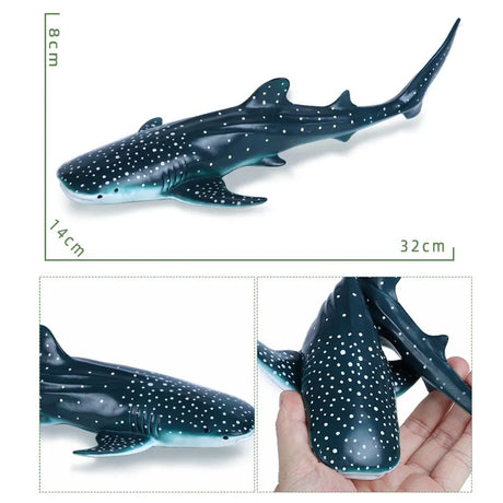 Model of a whale shark with measurements and a close-up on a white background