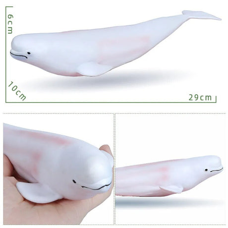 White whale toy with measurements and a hand holding it for scale.