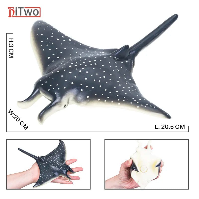 Model of a ray fish with dimensions and comparison to a hand