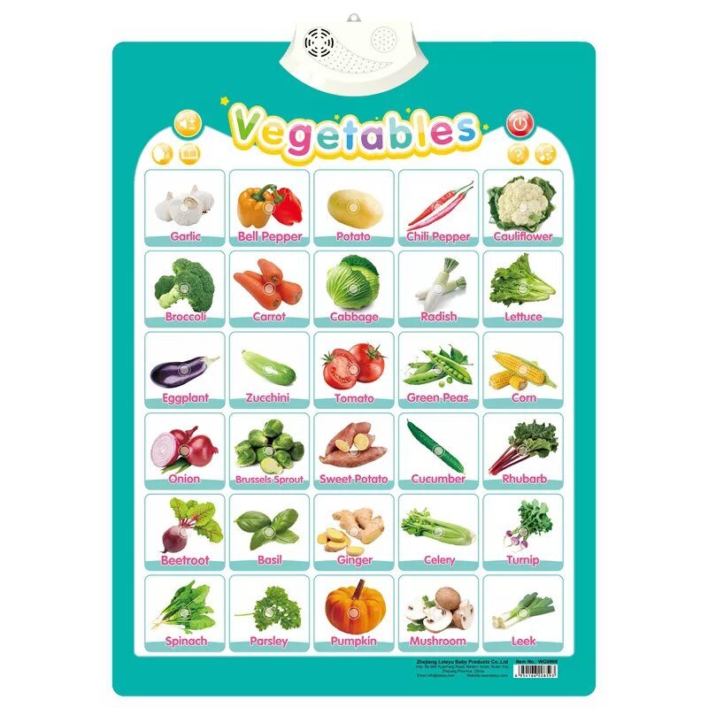 Chart with images and names of vegetables on a teal background