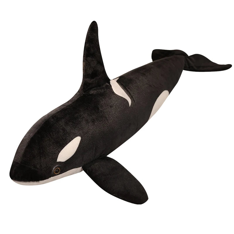 Plush toy orca whale on a white background