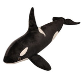 Plush toy orca whale on a white background