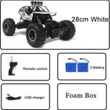Model of a remote-controlled vehicle with accessories