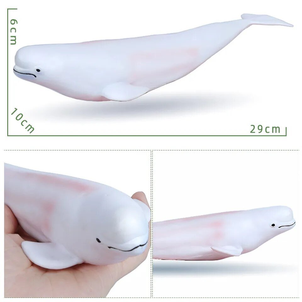 White whale toy with measurements and a hand holding it for scale.