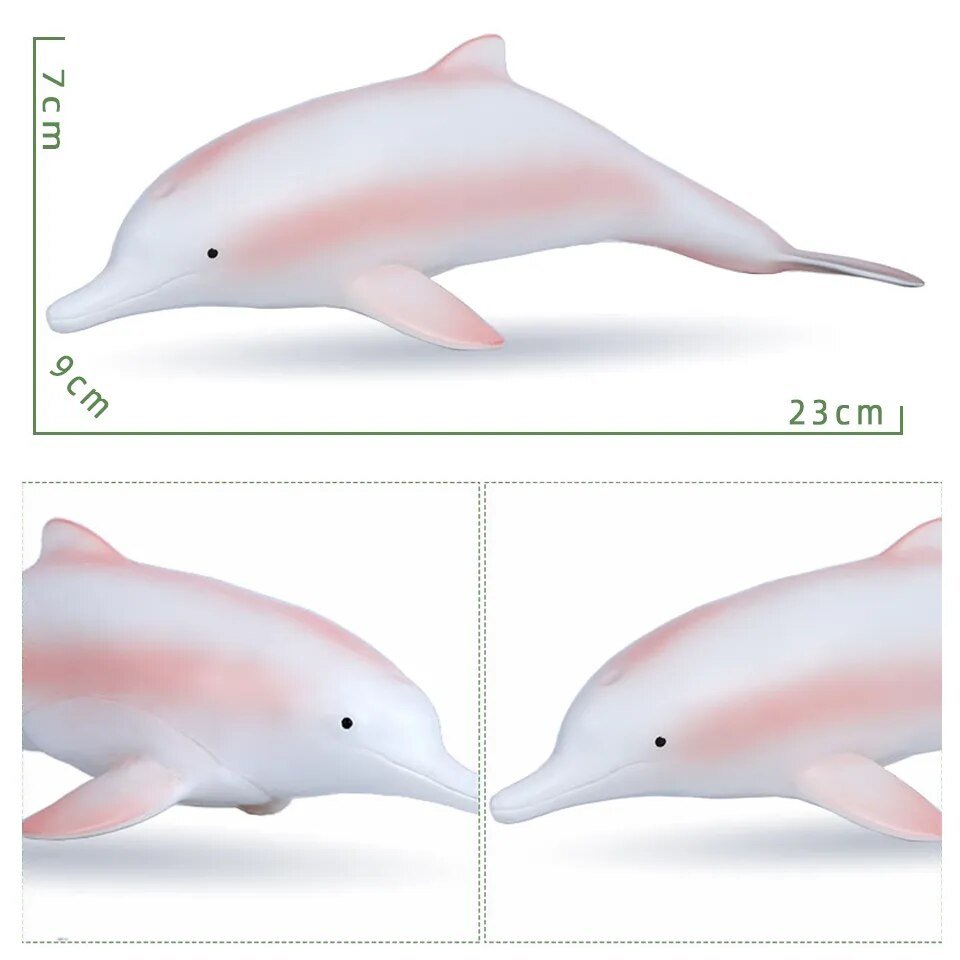 Model of a dolphin with measurements.