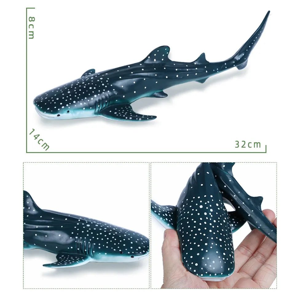 Model of a whale shark with measurements and a close-up of the shark's body.