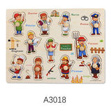 Wooden puzzle for professinal knowledge