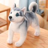 Plush toy husky dog on a wooden surface
