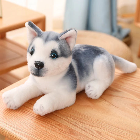 Plush toy husky dog on a wooden surface