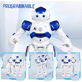 White and blue robot toy with 'Programmable' text.