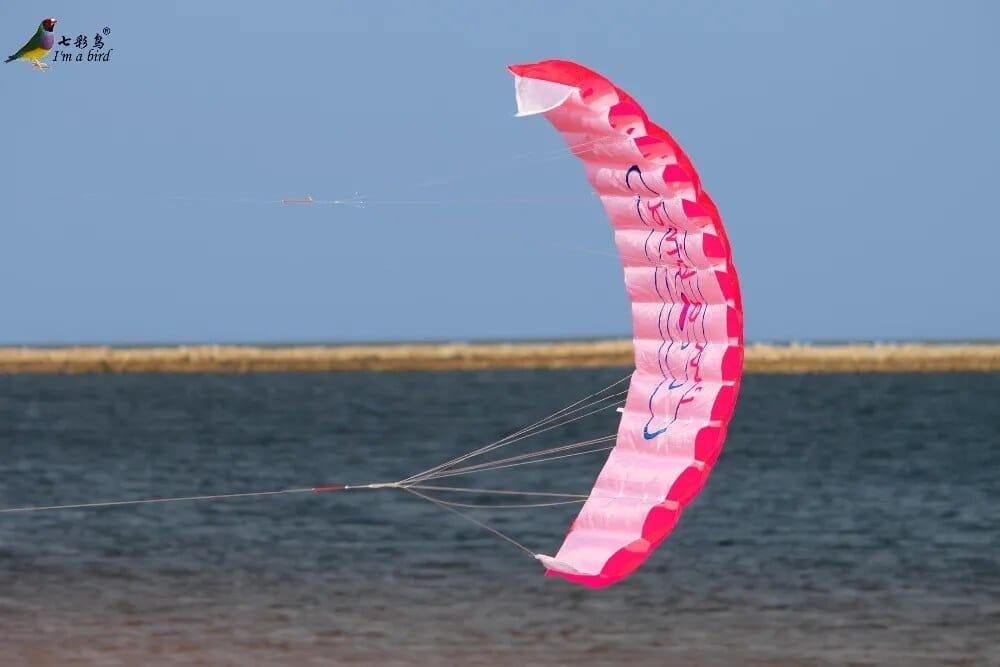 Pink and white kite flying.