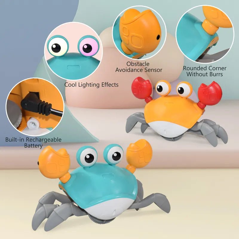 Toy crab with features highlighted on a light blue background