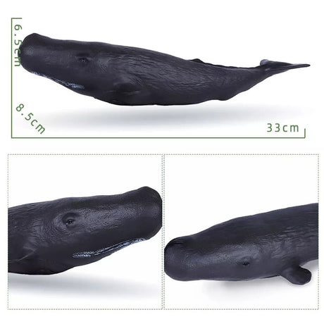 Black whale model with measurements on a white background