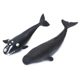 Two whale toys on a white background