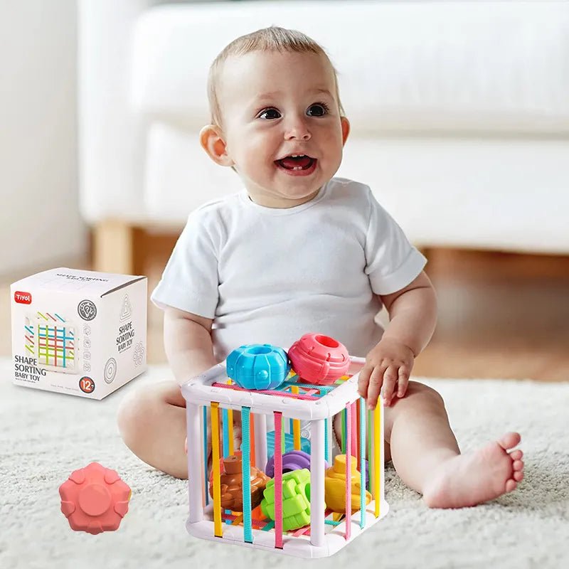 Colorful Shape Sorting Blocks Montessori toddler toy shown with its packaging for gifting.