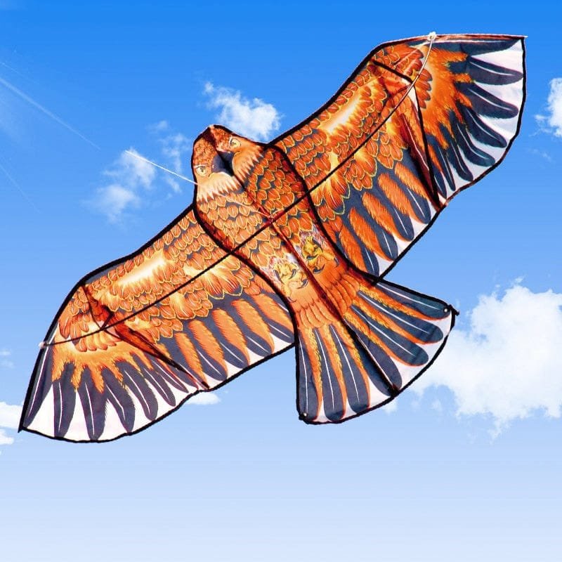 Orange and black hawk-shaped kite