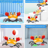 Toy crab with features highlighted on a white background