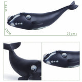 Black whale toy with measurements on a white background