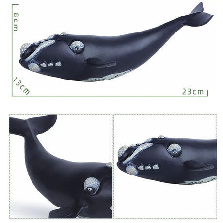 Black whale toy with measurements on a white background