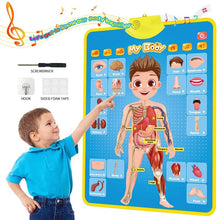 Electronic alphabet wall chart with a cartoon body diagram used by a child to learn body parts.