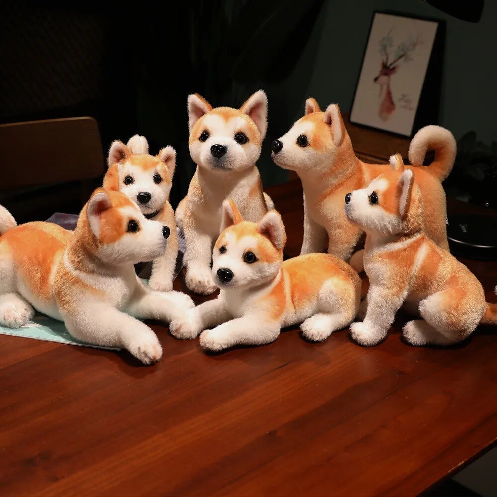 Set of plush Shiba Inu dogs on a wooden table