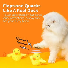 Flapping Duck Cat Toy engaging a white cat in interactive catnip-infused play at home.
