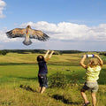 Two children flying a large kite in an open field on a sunny day.