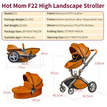 Hot Mom F22 3-in-1 baby stroller with bassinet showing specifications and dimensions for buyers.