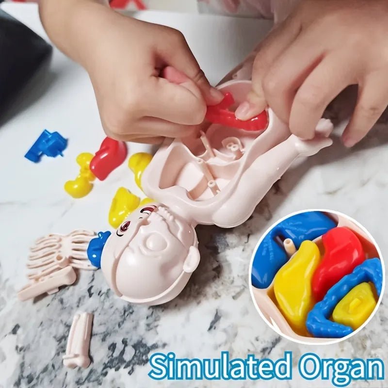 Children playing with a toy resembling a human body with colorful organs on a marble surface.