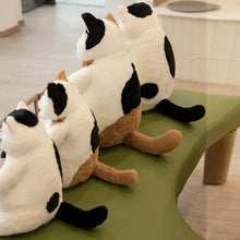 Japanese Kawaii Plush Cat soft home pillow toys arranged indoors for sofa styling and relaxed lounging.