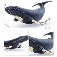 Large Soft Rubber Sea Life Figure whale model with measurements for educational display.